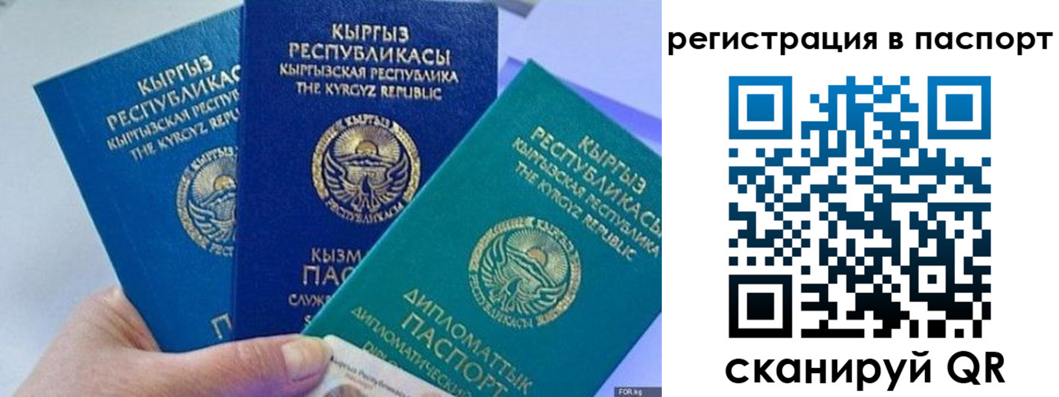 прописка 2025 в Волгоградской области